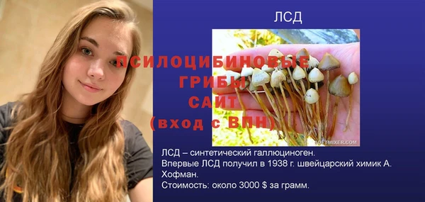 мет Белокуриха