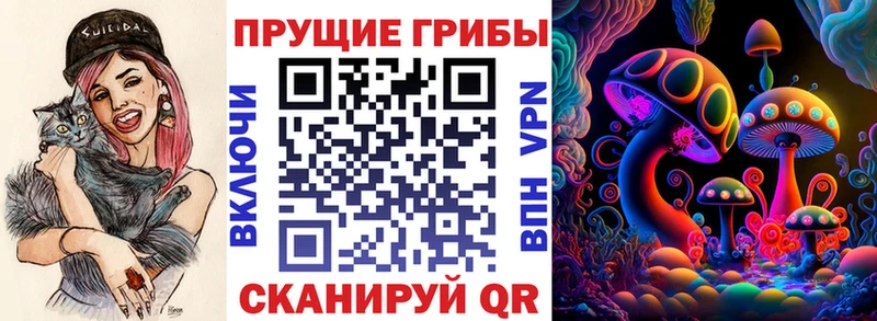 Галлюциногенные грибы мицелий MEGA как войти Болотное магазин продажи наркотиков